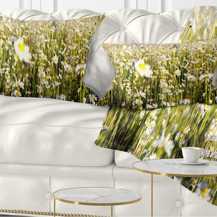 https://img.shopstyle-cdn.com/sim/4f/f0/4ff0d90fac595e6a5772953b487465a1_best/designart-wild-chamomile-flowers-field-flower-throw-pillow.jpg