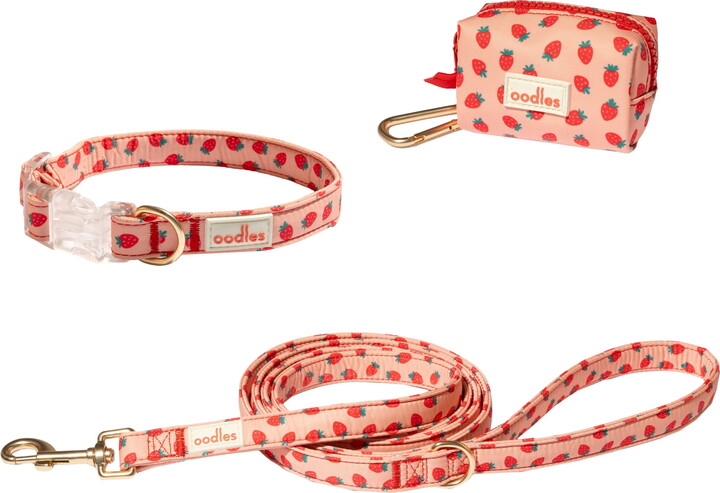 Oodles Sweet Strawberry Dog Walking 3 Piece Set, Large