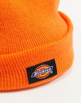 Thumbnail for your product : Dickies Gibsland beanie in bright orange