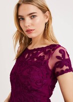 Thumbnail for your product : Phase Eight Sheena Tapework Lace Dress