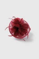 Thumbnail for your product : Wallis Berry Feather Fascinator