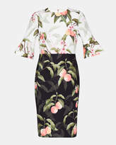 Thumbnail for your product : Ted Baker AREEA Peach Blossom fluted sleeve dress