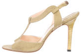 Thumbnail for your product : Manolo Blahnik T-Strap Sandals