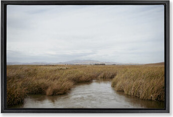 Gracie Oaks Marshland Stream View Floater Canvas by Crystal Lynn Collins