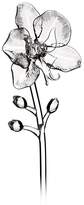 Thumbnail for your product : Waterford Jeff Leatham Fleurology Orchid Flower Object