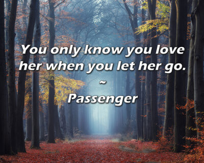 Trinx Passenger Quote: You only know you love her when you let her go.