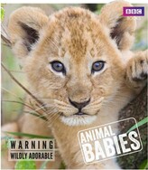Thumbnail for your product : Barnes & Noble Animal Babies by Laura Barwick