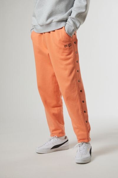 Orange Striped Pants | Shop the world's largest collection of 