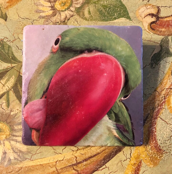 Marble Stone Coasters - Parrot Spilling Wine Glass