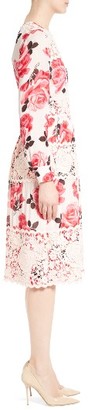 Kate Spade Women's Rosa Lace Applique Midi Dress
