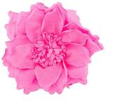 Thumbnail for your product : Nude flower brooch