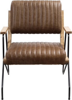 Hokku Designs Contemporary And Matt Iron Accent Chair Metal Leg Full Foam Seat Comfortable Relaxation Tight Cushions Modern Appearance Genuine Leather Uphols