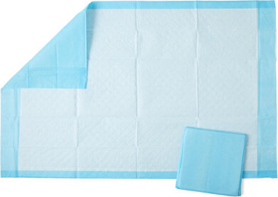 Ebern Designs Baret Waterproof Loose Mattress Protector Mattress Protector Case Pack