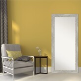 Thumbnail for your product : Amanti Art Dove Framed Floor/Leaner Full Length Mirror, 29.88" x 65.88"