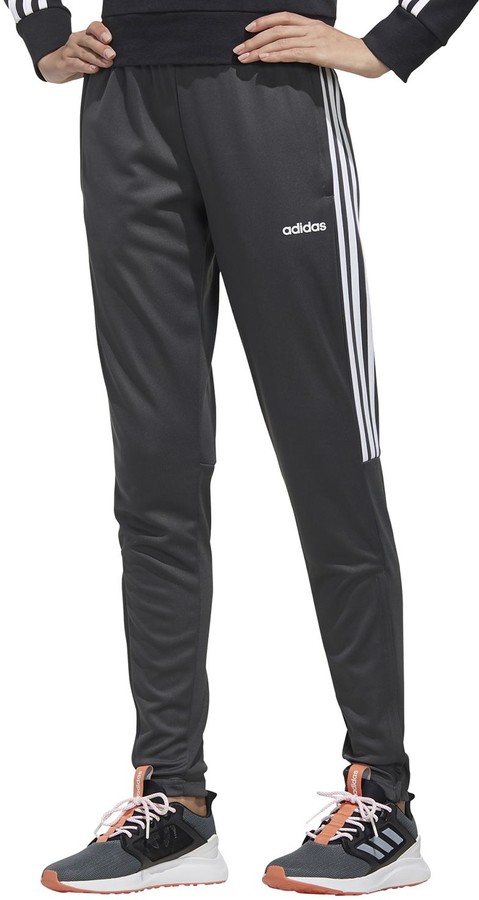sereno 19 training pants