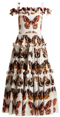 Dolce & Gabbana Butterfly Print Cotton Poplin Dress - Womens - Brown White