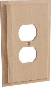 Designs of Distinction® Furniture Findings 2 Gang Single Outlet Wall Plate
