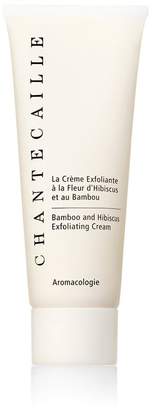 Chantecaille Hibiscus and Bamboo Exfoliating Cream