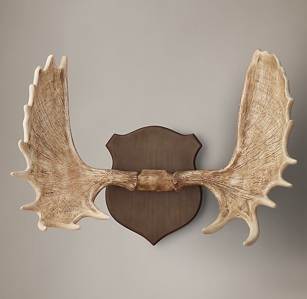 Restoration Hardware Moose Antlers in Cast Resin ShopStyle Home & Living