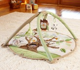Thumbnail for your product : Pottery Barn Kids Owl Activity Gym