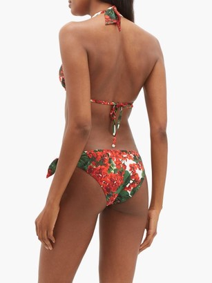Dolce & Gabbana Portofino Floral-print Halterneck Bikini Top - Red Print