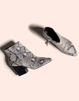 Thumbnail for your product : Dolce Vita Perilla Snake Block Heel Black & White Womens Booties