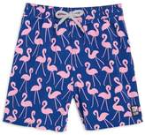 Thumbnail for your product : Flamingos Tom & Teddy Little Boy's & Boy's Swim Trunks