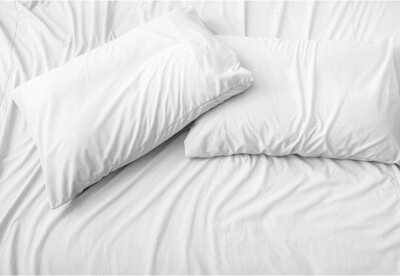 Paradise Pillow Value Pillowcase – Soft Cotton/Poly Blend Easy Care Hospitality Quality