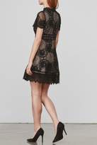 Thumbnail for your product : BB Dakota Aria Lace Dress