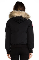 Thumbnail for your product : Canada Goose Chilliwack Bomber with Coyote Fur trim