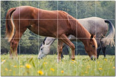 Picture-Tiles.com Horse Photo 6 x 6