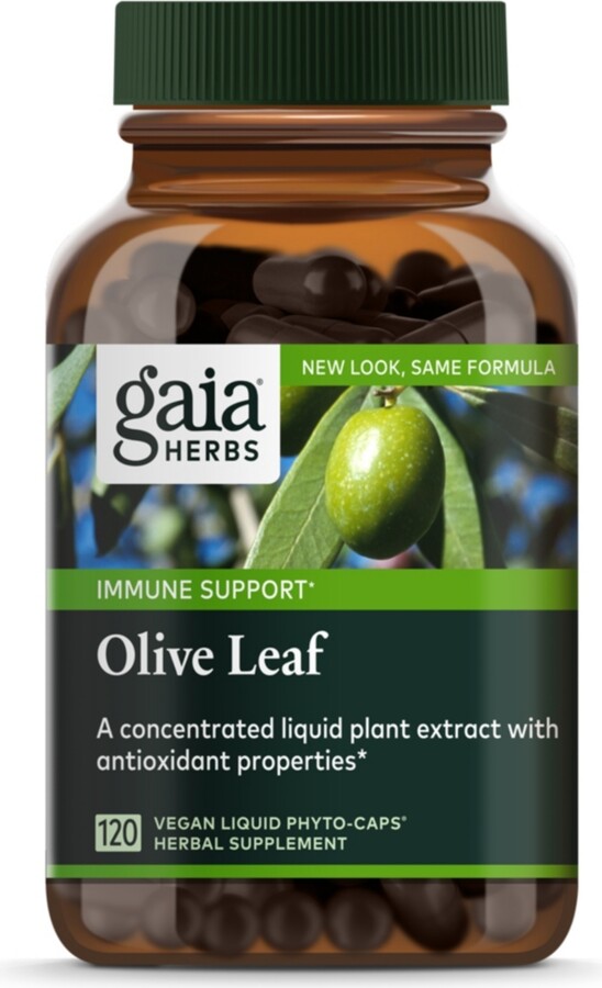 Gaia Herbs Olive Leaf - Traditional Immune Health Support - Immune System Supplement with Olive Leaf Extract and Oleuropein - 120 Liquid Phyto-Caps