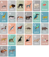 Thumbnail for your product : James Barker Animal Alphabet Flash Cards