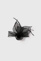 Thumbnail for your product : WallisWallis Black Bow Clip Fascinator