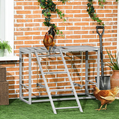 Wooden Chicken Coop With Swing , Gray For 3 - 4 Strengthens Chicken's Limbs And Creates An Enjoyable Play Space Chickens Muscles Constructs A Fun-Fill