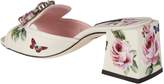 Thumbnail for your product : Dolce & Gabbana Rose Sandals