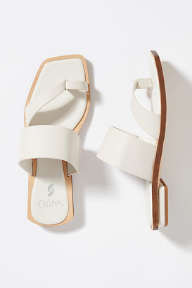 franco sarto australia