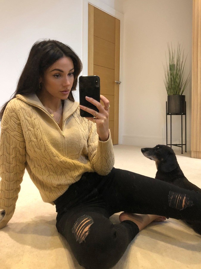 teddy polo sweater
