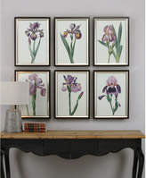 Thumbnail for your product : Uttermost 6-Pc. Iris Beauties Framed Wall Art