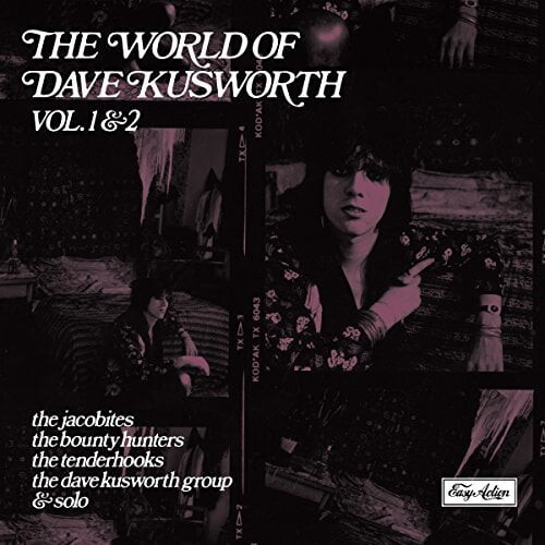 Troubadour Dave Kusworth - World Of Dave Kusworth - Music & Performance - CD