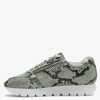 Kennel + Schmenger Rise Green Leather Reptile Cleated Sole Trainers