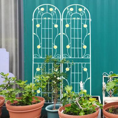 Red Barrel Studio 2 Pack Metal Garden Trellis 86.7\