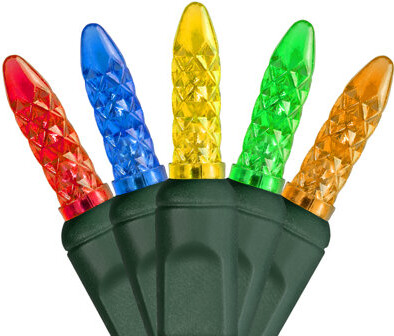 Wintergreen Lighting Christmas 70 Light LED String Light