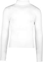 Thumbnail for your product : boohoo Long Sleeved Ribbed Roll Neck Jumper