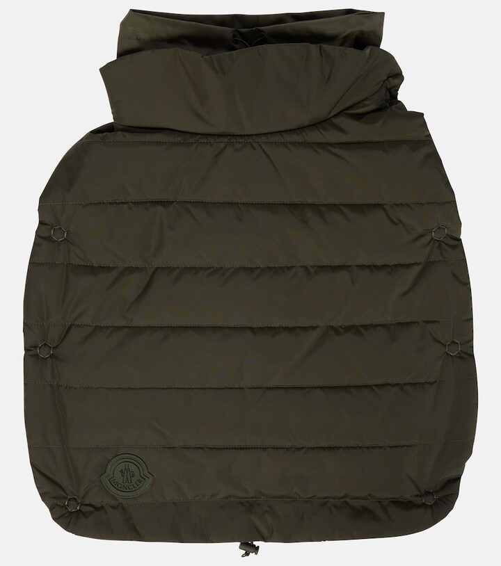 MONCLER GENIUS x Poldo Dog Couture dog coat