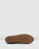 Thumbnail for your product : Hush Puppies Bodhi