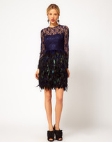 Thumbnail for your product : ASOS Feather Dress With Lace Top