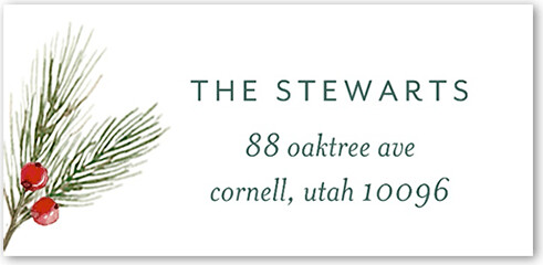Address Labels: Sparkle Joy Berries, Set of 24, White, Matte