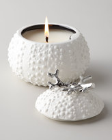 Thumbnail for your product : Michael Aram Sea Urchin Candle