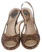 Thumbnail for your product : Rene Caovilla Lace Slingback Pumps